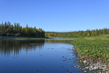 Travel along the rivers of the Circumpolar Urals.