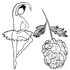ballerina,peony,flower,sport,dance,botany,beauty,inspiration,hearts,love,art,pink,lettuce,purple,beige,ballet,tutu ballet,ballerina in pose,beauty,,postcard,invitation,packing tag,wrapping paper,birth
