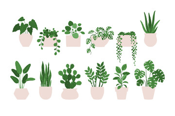 Vector illustration set of a indoor plants houseplants in a pots. Isolated on white background. - 482695966