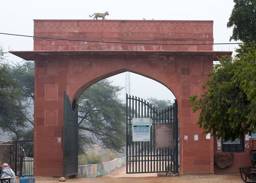 Main entrance gate of Jhalana Leopard Reserve, Jaipur 