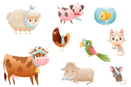 Sick baby animals set. Sad bandaged cow, goatling, hen, glass, parrot, fish cartoon vector illustration