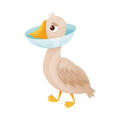 Sick goose with protective veterinary collar cartoon vector illustration