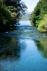Fototapeta premium lago de agua color azul y celeste con arboles y montaña