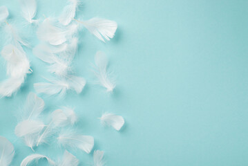 Top view photo of the many light white amazing fluffy feathers scattered on the left side of the...