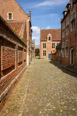 Le grand béguinage de Louvain (Groot Begijnhof van Leuven en néerlandais)dont l'origine remonte au xiiie siècle, est le plus vieux et le plus grand de la ville belge de Louvain, dans la province du Br