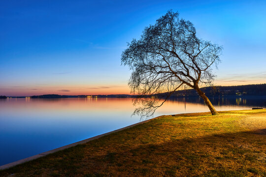 Lonely tree and sunset at lake Pyhäjärvi in Tampere