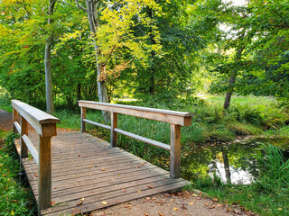 bench in the park
