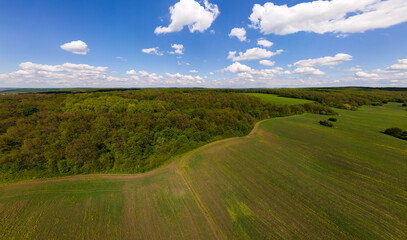 Aerial landscape view of green cultivated agricultural fields with growing crops on bright summer day