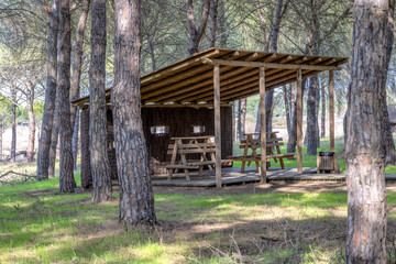 Bird observatory with picnic area