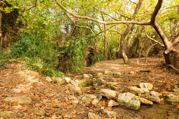 Beautiful creek in Penteli mountain near Athens, Greece.