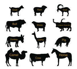 Ranch farm animals collection vector silhouette illustration isolated on background. Bull, cow, donkey, sheep, horse, pig, goat, ram, camel, lama Domestic cattle shape symbol. Cloven hoof animals. © dovla982
