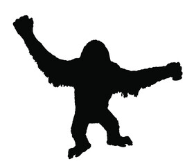 Monkey orangutan vector silhouette illustration isolated on white background. Big hairy primate. Monkey symbol, animal from Asia. © dovla982