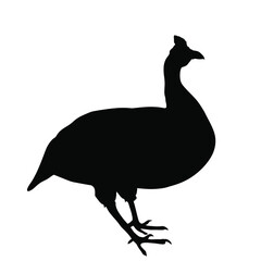 Helmeted Guinea fowl bird vector silhouette illustration isolated on white background. Helmeted Guineafowl shape symbol. Numida Meleagris turkey silhouette. Bird, snake hunter poultry.