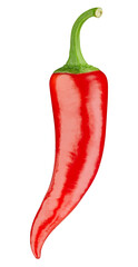 Fresh red peppers isolated