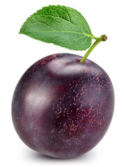 Plum isolated. Plum slice. Plum on white background. With clipping path.