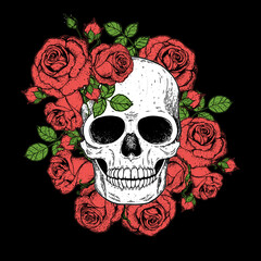 Skull and flowers hand drawn illustration. Tattoo vintage print. Skull and roses.