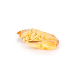 dried shrimp isolated on white background