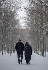 Fototapeta na wymiar An elderly couple walking away down the road. Pensioners go into the depths of the park. Elderly people walk by the hand in the winter park.