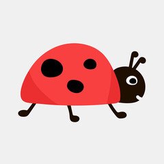 Cute ladybug or ladybird simple flat design. Vector illustration isolated on white background