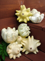 Vertical image of a group of 'Yugoslavian Finger Fruit' squash