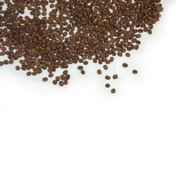 Coffee beans on white background