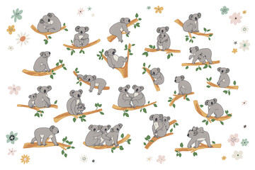 Koala animal with branches vector illustrations set