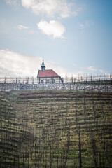 Spring view of Chapel of St Claire and vineyards, Prague, Czech Republic