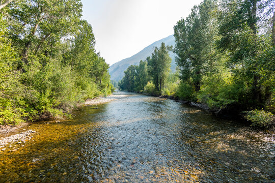 USA, Idaho, Hailey, Big Wood River and trees on sunny day