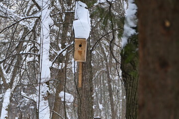 Wooden birdhouse on a tree in winter in the park. High quality photo