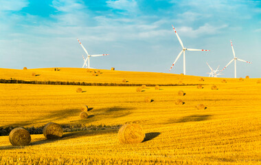 farma wiatrowa, wiatraki na polu, wiatraki, elektrownia wiatrowa, plony na polu, pole letnią porę, letnie popołudnie, żółte pole z błękitnym niebem - obrazy, fototapety, plakaty