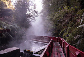 Fototapeta na wymiar Walkway between the geometric hot springs, Chile