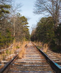 railway in the forest