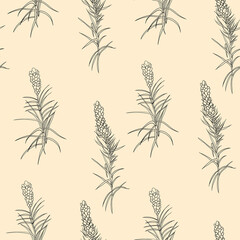 Obraz premium Vector seamless pattern. Monochrome botanical realistic graphic motif for textile and design. Graphically drawn herbs and leaves on a beige background in Huggo style