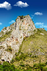 Forest in the valley