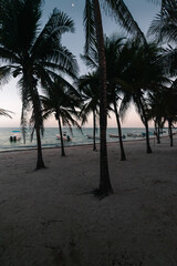 Obraz na płótnie Canvas Palm trees, beach and tropical sunset