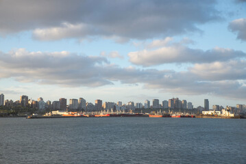 Mar del Plata harbour and town, skyline                      