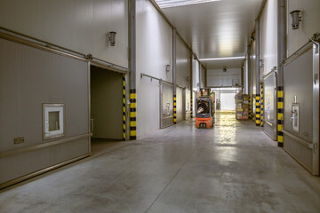 A fridges airless storage vegetables or fruits. The electric forklift move it container. Production facilities of large warehouse - grading, packing and storage of crops. © Sodel Vladyslav