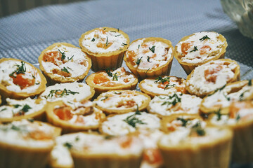 Tartlets with red fish and cottage cheese. Close-up of the food. Soft selective selective focus. Everyday food
