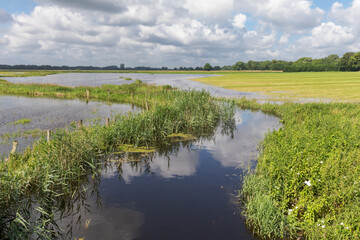 Sommerhochwasser nach Starkregen an der Oberalster mit überfluteten Wiesen Mitte März in Schleswig-Holstein, Deutschland.