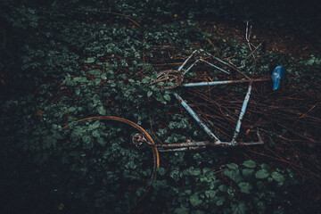 Verrostetes Fahrrad im Wald
