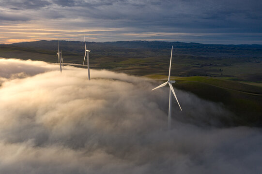 A wind farm rises above a thick blanket of morning fog, Bay Area, California, USA