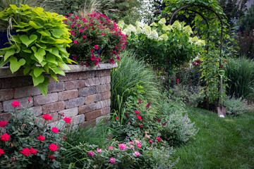 Fototapeta na wymiar Garden containers bursting with cherry red petunias and chartreuse sweet potato vine gracefully trail down a retaining walls ledgestone coping providing privacy and beauty in midsummer. 