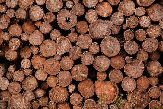 Wood walpapers, background, warm colors