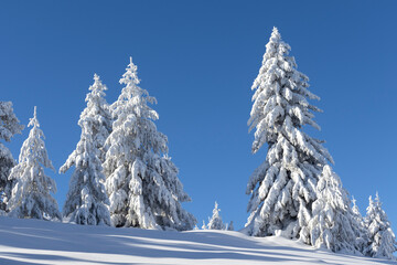 Winter landscape of Vitosha Mountain, Bulgaria