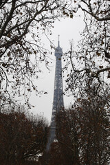 The Eiffel tower, view from Champ de Mars, Paris, France