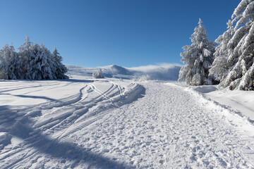 Winter landscape of Vitosha Mountain, Bulgaria