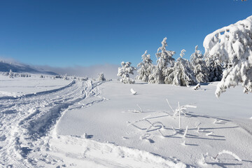 Winter landscape of Vitosha Mountain, Bulgaria