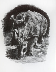 Fototapeta premium Illustration - rhino on a black background. Rhino icon drawn in pencil.