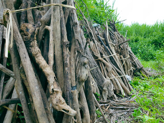 Pile of firewood in the rice field 