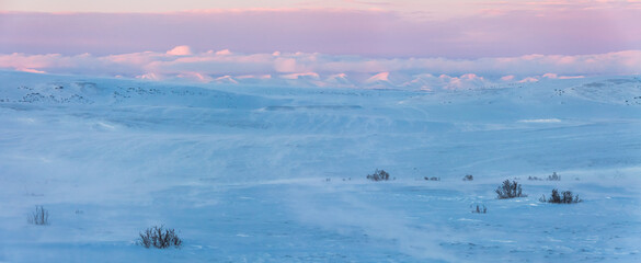 Winter landscape. Snow-covered tundra in the Arctic. Mountains in the distance. Cold weather. Strong wind and blowing snow. Northern nature of the polar region. Chukotka, Far North of Russia. Panorama